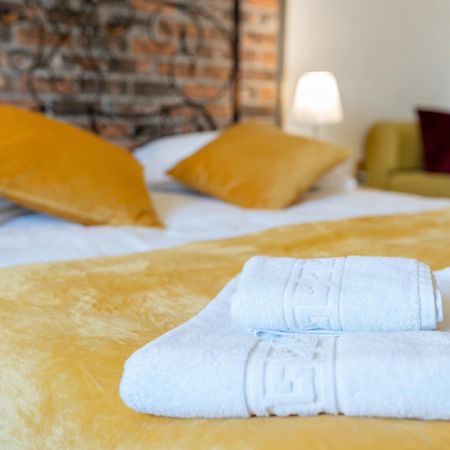 Cozy Spacious 5 Star Accommodation In The Heart Of Historic Center Cluj-Napoca Eksteriør bilde